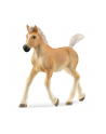 Schleich 13951 Źrebak rasy Haflinger Horse Club - nr 4