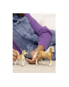Schleich 13951 Źrebak rasy Haflinger Horse Club - nr 8