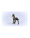 Schleich 13954 Źrebak rasy Paso Peruano Horse Club - nr 12