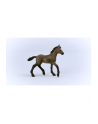 Schleich 13954 Źrebak rasy Paso Peruano Horse Club - nr 14