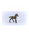 Schleich 13954 Źrebak rasy Paso Peruano Horse Club - nr 15