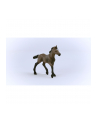 Schleich 13954 Źrebak rasy Paso Peruano Horse Club - nr 16