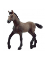Schleich 13954 Źrebak rasy Paso Peruano Horse Club - nr 18