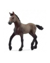 Schleich 13954 Źrebak rasy Paso Peruano Horse Club - nr 19