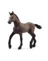 Schleich 13954 Źrebak rasy Paso Peruano Horse Club - nr 1