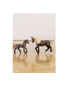 Schleich 13954 Źrebak rasy Paso Peruano Horse Club - nr 2