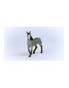 Schleich 13955 Klacz rasy Cheval de Selle Francais Horse Club - nr 11