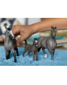 Schleich 13955 Klacz rasy Cheval de Selle Francais Horse Club - nr 15