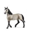 Schleich 13955 Klacz rasy Cheval de Selle Francais Horse Club - nr 1