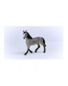 Schleich 13955 Klacz rasy Cheval de Selle Francais Horse Club - nr 6