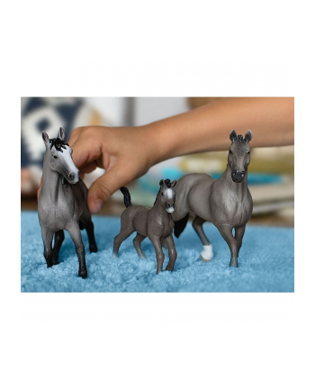 Schleich 13956 Ogier rasy Cheval de Selle Francais Horse Club