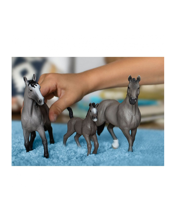 Schleich 13956 Ogier rasy Cheval de Selle Francais Horse Club główny