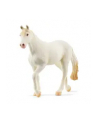 Schleich 13959 Klacz rasy Camarillo Farm World - nr 15