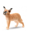 Schleich 14868 Młody Karakal. Wild Life - nr 8
