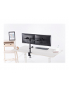 neomounts by newstar Uchwyt biurkowy FPMA-D550DBLACK - nr 49