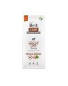 Brit Care Dog Hypoallergenic Weight Loss 12kg - nr 1