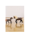 Schleich 13952 Ogier rasy paso peruwiański Horse Club - nr 4