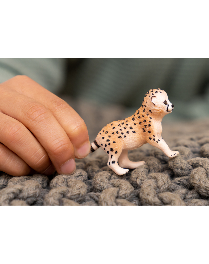 Schleich 14866 Młody Gepard Wild Life główny