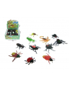 Owady z grochem 10-12cm / gniotek HIPO - nr 1