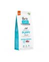 Brit Care Dog Hypoallergenic Puppy Lamb 12kg - nr 2