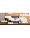 hewlett-packard Drukarka HP LaserJet Tank 2504dw - nr 20