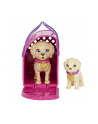 mattel Barbie Adopcja piesków Zestaw + lalka HKD86 - nr 1