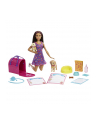 mattel Barbie Adopcja piesków Zestaw + lalka HKD86 - nr 4