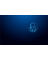 KINGSTON FLASH 32GB IronKey Vault Privacy 50 - nr 14