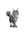 Royal Canin VD Cat Hypoallergenic 2 5 kg - nr 3