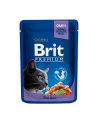 Brit Cat Pouches 1200g Family Plate (12x100g) - nr 6