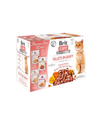 Brit Care Cat FG Flavour Box POUCH 12x85g