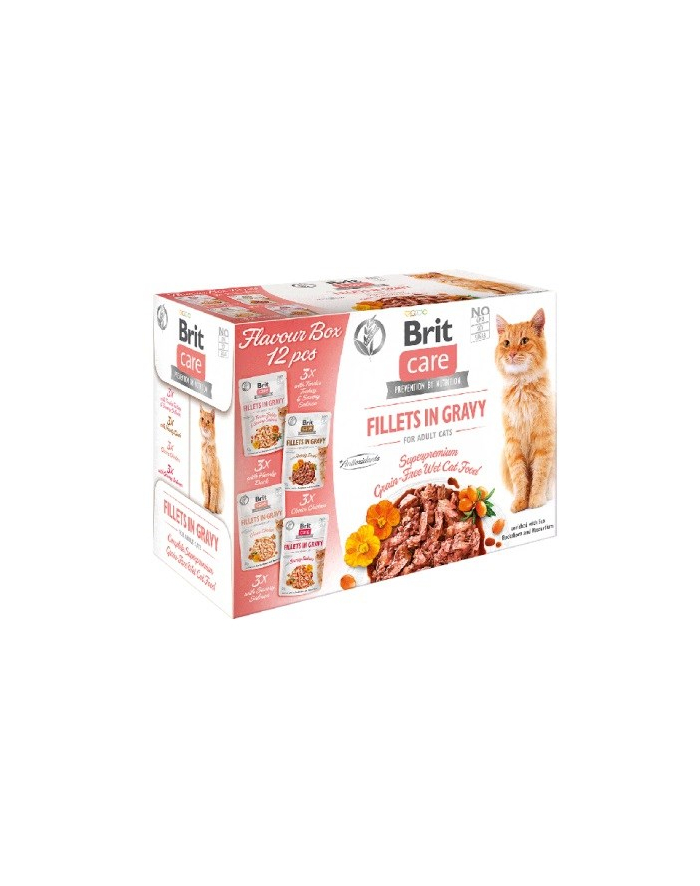 Brit Care Cat FG Flavour Box POUCH 12x85g główny