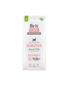 Brit Care Sustainable Sensitive Insect Fish 12kg - nr 1