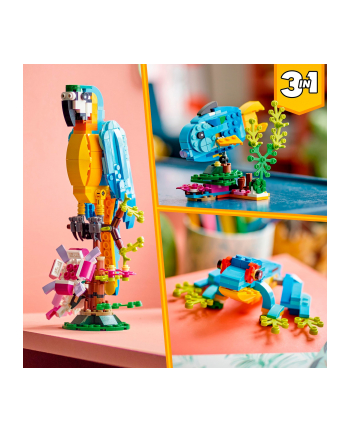 LEGO 31136 CREATOR Egzotyczna papuga p6