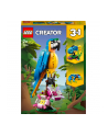 LEGO 31136 CREATOR Egzotyczna papuga p6 - nr 14