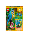 LEGO 31136 CREATOR Egzotyczna papuga p6 - nr 15