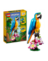 LEGO 31136 CREATOR Egzotyczna papuga p6 - nr 16