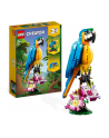 LEGO 31136 CREATOR Egzotyczna papuga p6 - nr 24