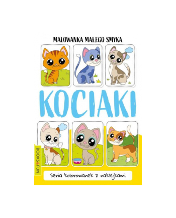 booksandfun Malowanka małego smyka Kociaki.  Books and fun