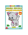 booksandfun Kolorowanka Gruba kreska Kociaki łobuziaki. Books and fun - nr 1