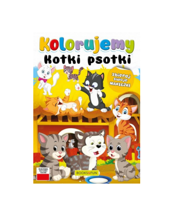 booksandfun Kolorowanka Kolorujemy kotki psotki. Books and fun