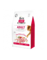Brit Care Cat Grain-Free Adult 0 4kg - nr 5