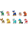spin master Paw Patrol Jubileuszowy Prezent Zest 6065255 - nr 2