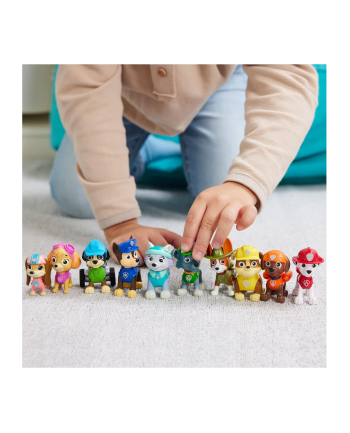 spin master Paw Patrol Jubileuszowy Prezent Zest 6065255