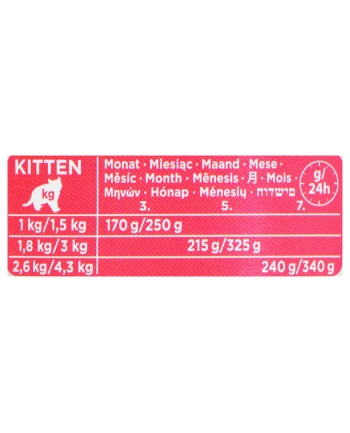 ANIMONDA Carny Kitten smak: wołowina indyk 400g