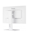 iiyama Monitor 23.8 cala XUB2492HSU-W5 IPS,HDMI,DP,VGA,USB,HAS(150mm),biały - nr 15