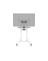 NEOMOUNTS BY NEWSTAR Select Video Kit Cam- ' AV Shelf incl. Logitech Rally Bar mini Adapter for FL55-875WH1 - nr 26