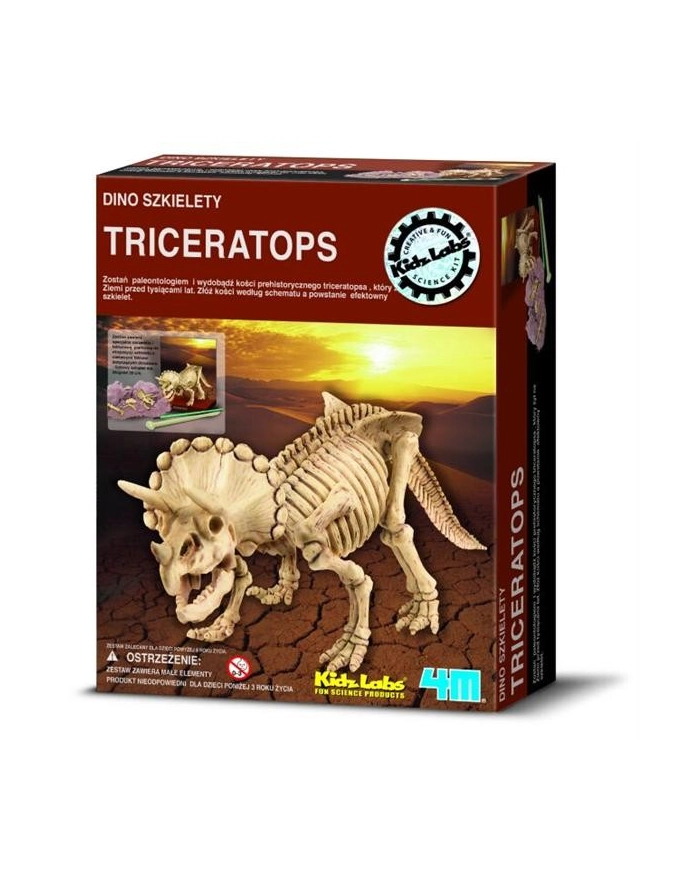 4m Wykopaliska Triceratops główny