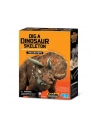 4m Wykopaliska Triceratops - nr 2