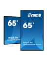 iiyama Monitor wielkoformatowy 64.5 cala LH6554UHS-B1AG 24/7,IPS,ANDROID.11,4K,SDM,2x10W - nr 21